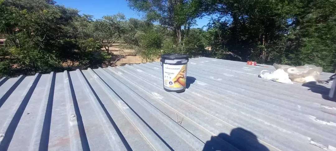 Roof Coating